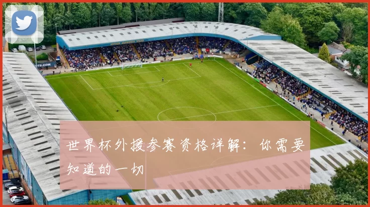 世界杯外援参赛资格详解:你需要知道的一切
