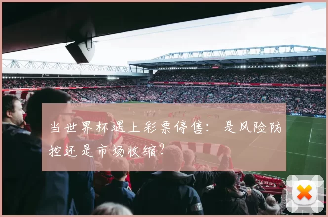 当世界杯遇上彩票停售:是风险防控还是市场收缩?