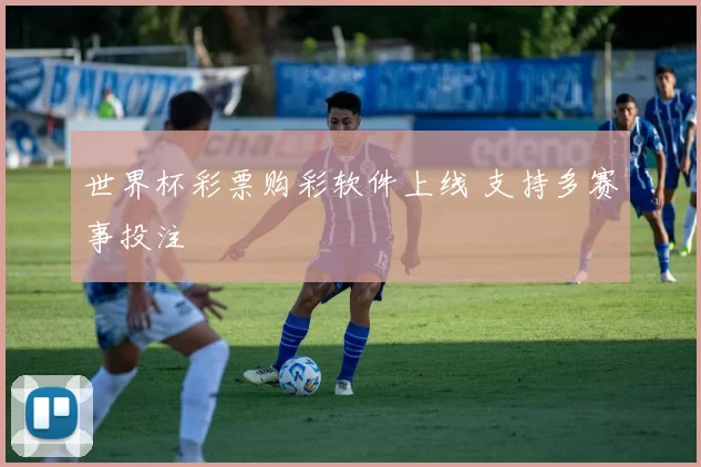 世界杯彩票购彩软件上线 支持多赛事投注