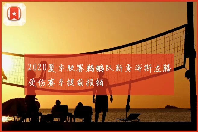 2020夏季联赛鹈鹕队新秀海斯左膝受伤赛季提前报销