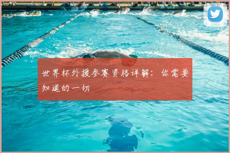 世界杯外援参赛资格详解:你需要知道的一切