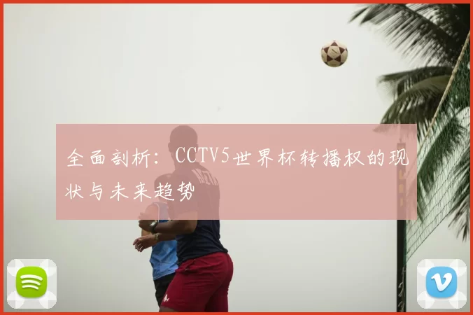 全面剖析:CCTV5世界杯转播权的现状与未来趋势
