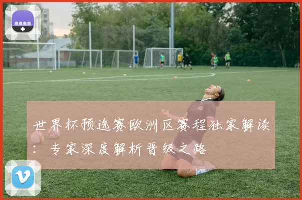 世界杯预选赛欧洲区赛程独家解读:专家深度解析晋级之路