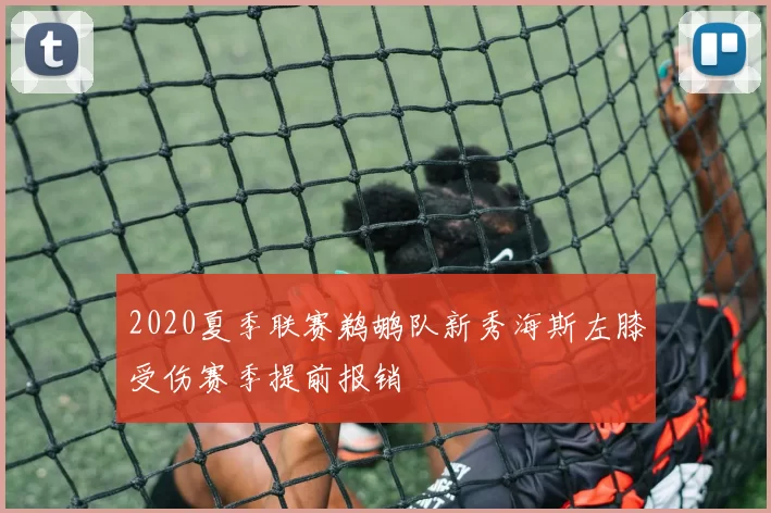 2020夏季联赛鹈鹕队新秀海斯左膝受伤赛季提前报销