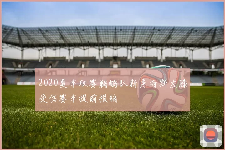 2020夏季联赛鹈鹕队新秀海斯左膝受伤赛季提前报销
