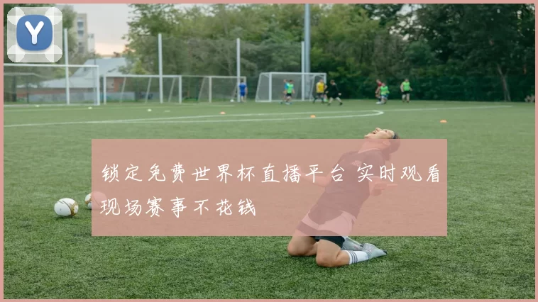 锁定免费世界杯直播平台 实时观看现场赛事不花钱