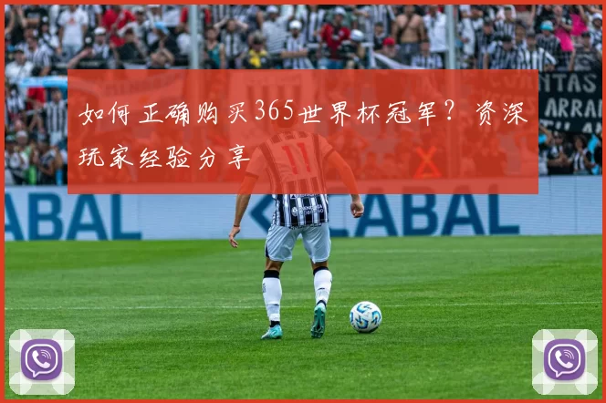 如何正确购买365世界杯冠军?资深玩家经验分享